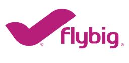 Flybig Logo